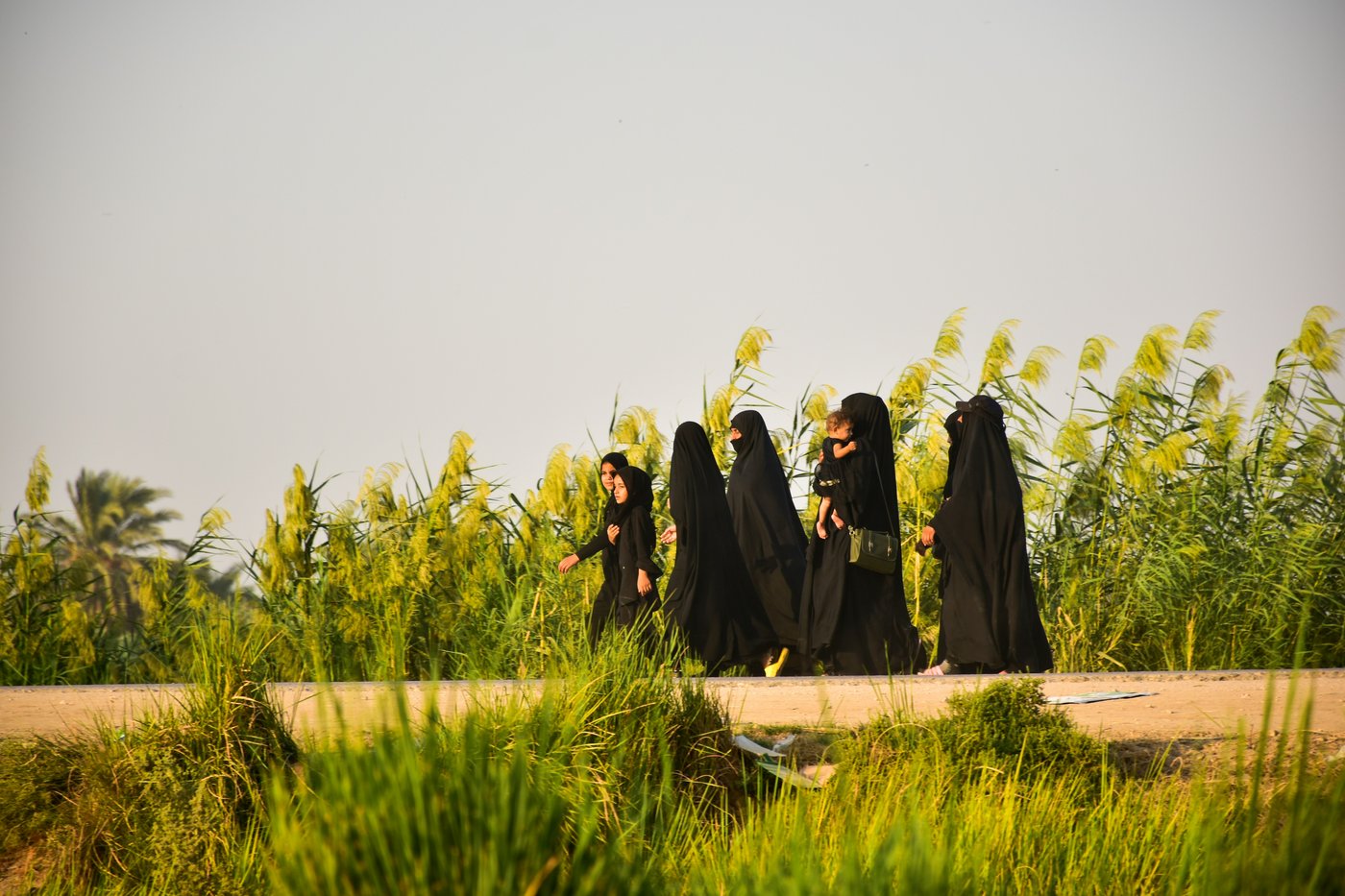 mhrezaa-hySWADD9ifo-unsplash mhrezaa-hySWADD9ifo-unsplash
